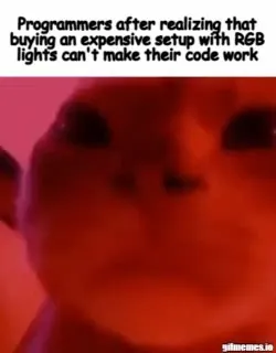 Programmers Realize RGB Cannot Fix Code