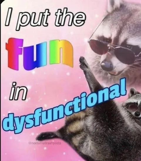 I Put the Fun in Dysfunctional
