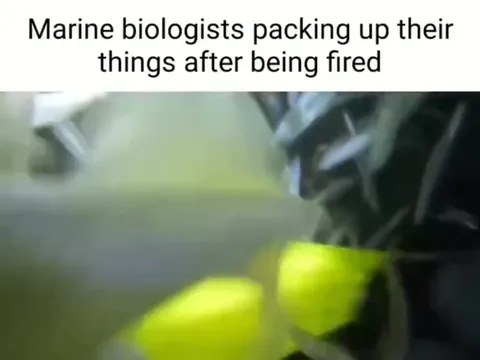 Marine Biologists Packing Up