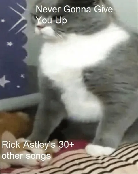 Cat Dancing to Rick Astley
