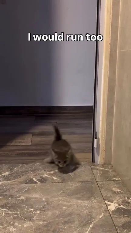 I Would Run Too