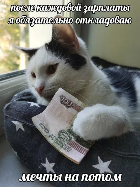 Кот откладывает мечты на потом
