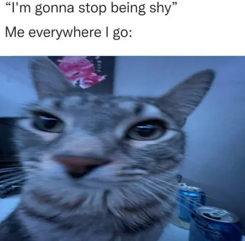I'm Gonna Stop Being Shy