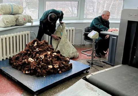 Семь мешков Чебурашек на таможне