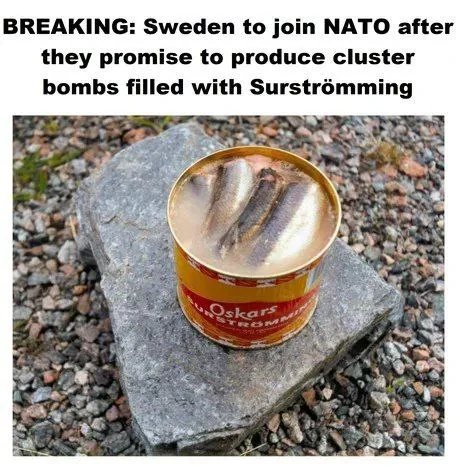 Sweden NATO Surströmming Bombs