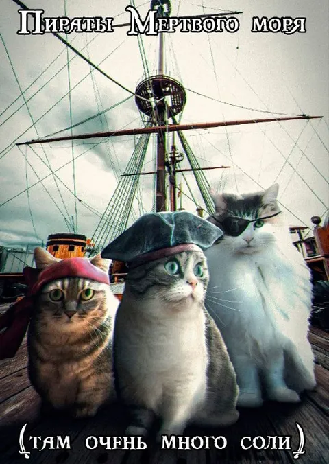 Пираты Мертвого моря