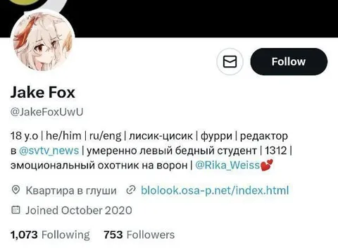 Абсурдная анкета лисика-цисика