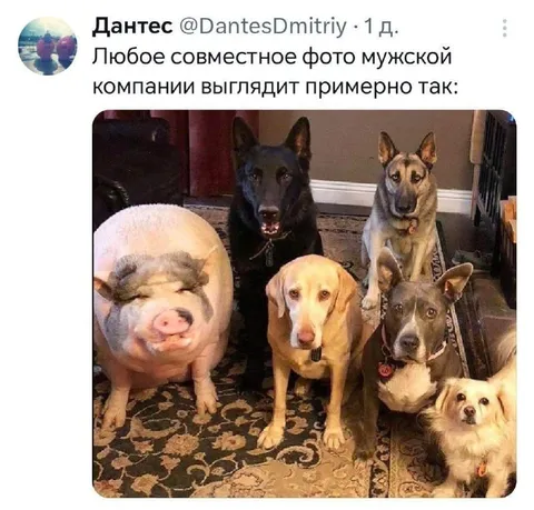 Совместное фото мужской компании