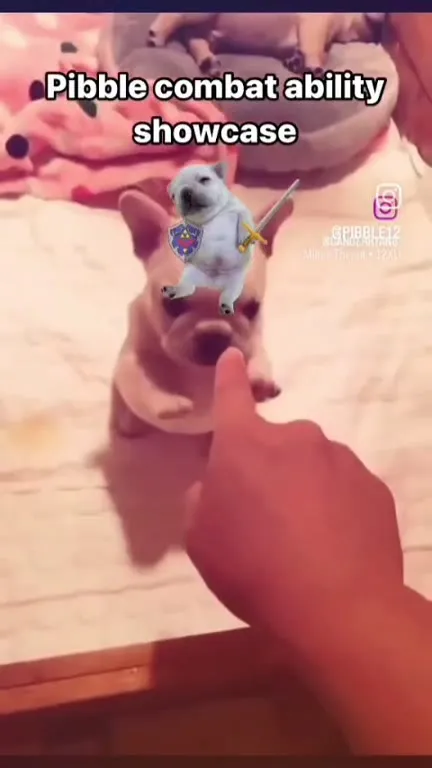 Pibble Combat Ability Showcase