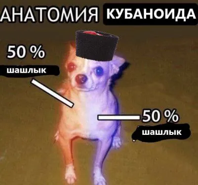 Анатомия кубаноида и шашлык