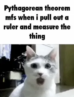 Pythagorean Theorem Cat Measures It