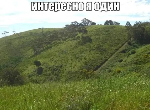 Интересно, я один