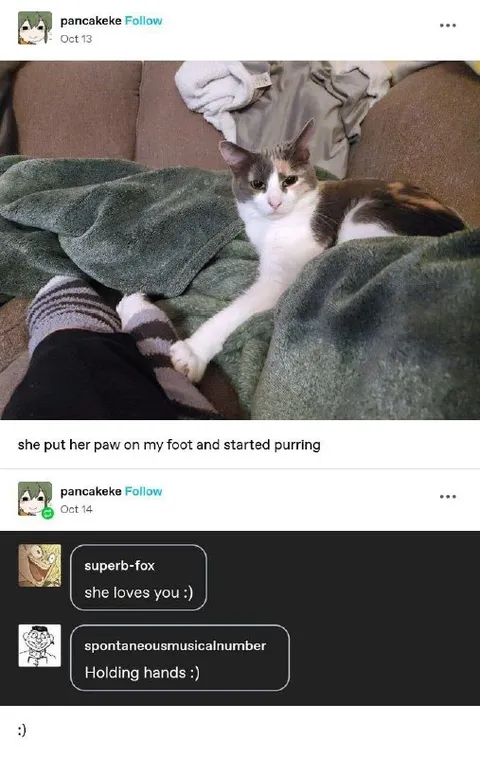 Cat Holding Hands