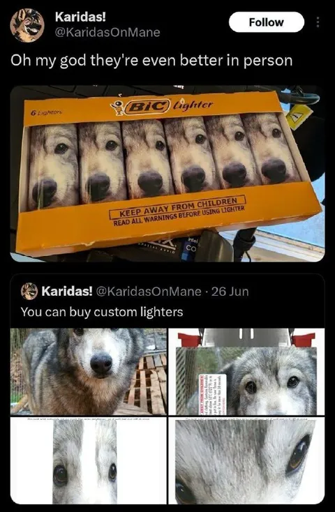 Custom Dog Lighters
