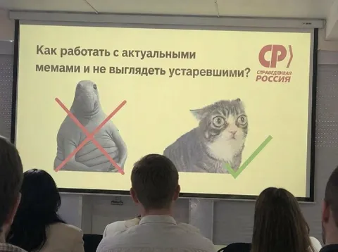Актуальные мемы и устаревший Ждун