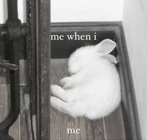 Me When I Sleep