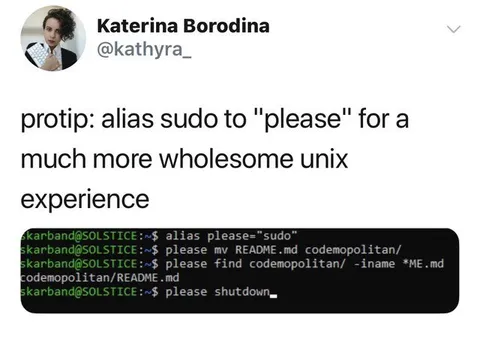 Please Instead of Sudo