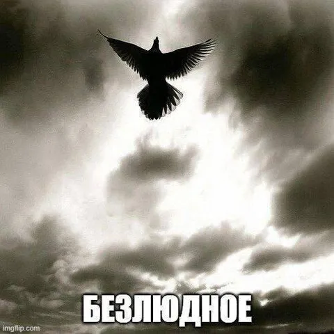 Безлюдное небо с вороном