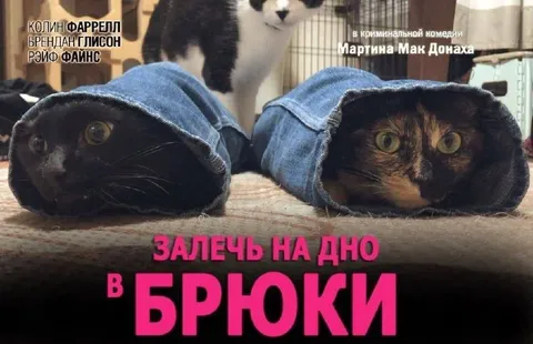 Залечь на дно в брюки