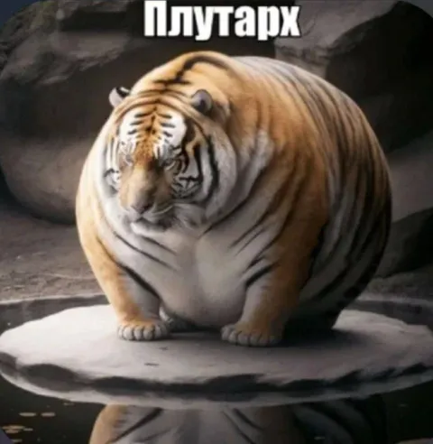 Плутарх-тигр на воде