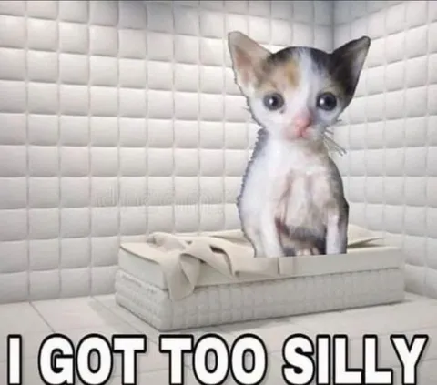 Got Too Silly Kitten