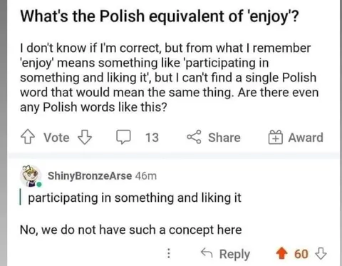 Polish Equivalent of Enjoy
