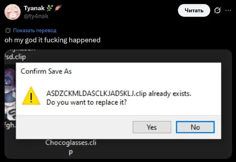 The Clip Already Exists