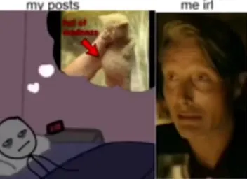My Posts Versus Me IRL
