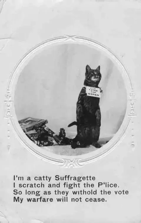 Catty Suffragette Demands the Vote