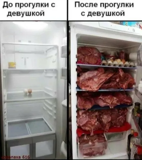 Холодильник до и после прогулки