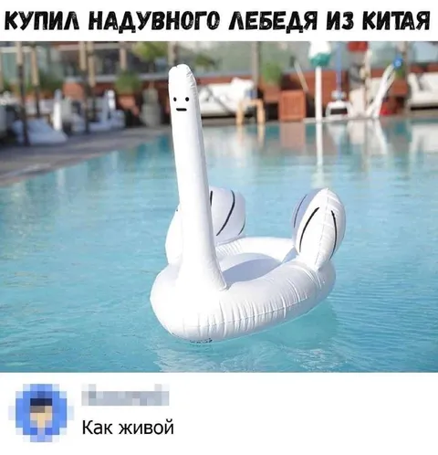 Надувной лебедь из Китая