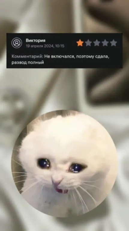 Муляж iPhone и честные отзывы