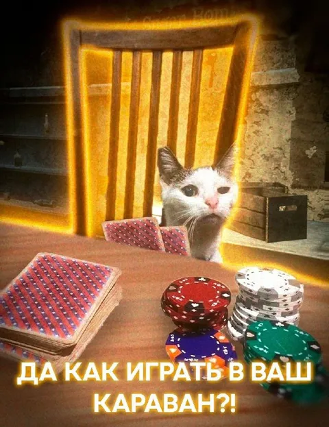 Кот играет в ваш караван