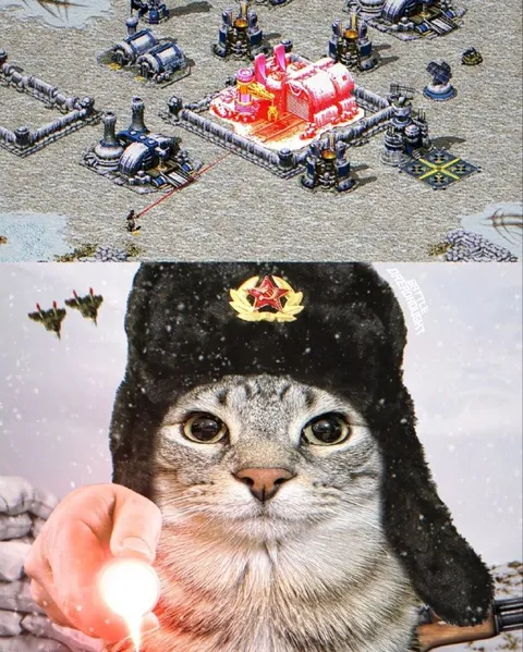 Кот вызывает ядерный удар
