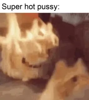 Super Hot Pussy Cat
