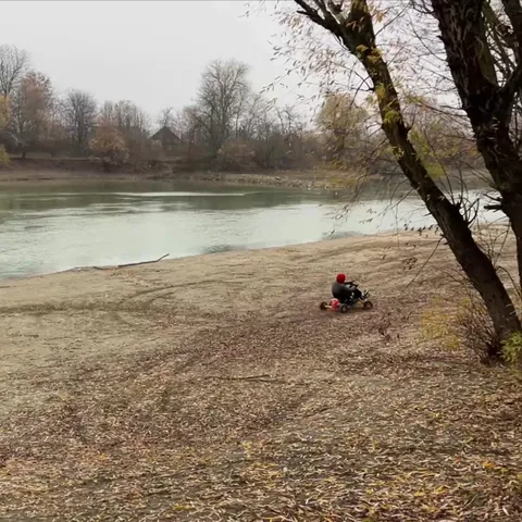 Ребёнок уезжает за дерево