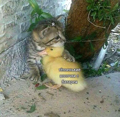 Тёпленькие носочки с батареи