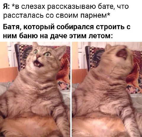 Кот в ярости из-за расставания