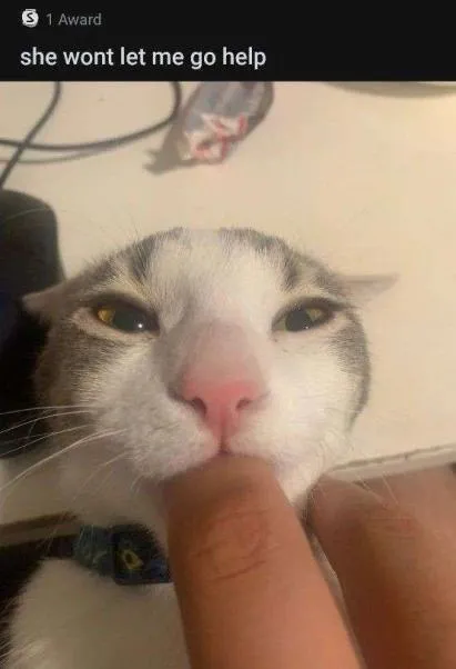 Cat Won’t Let Me Go