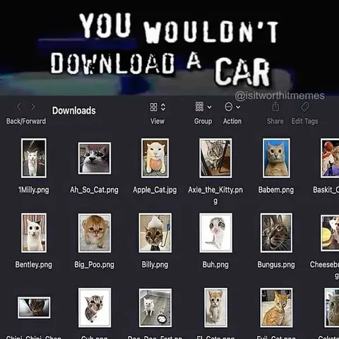 You Wouldn't Download a Car