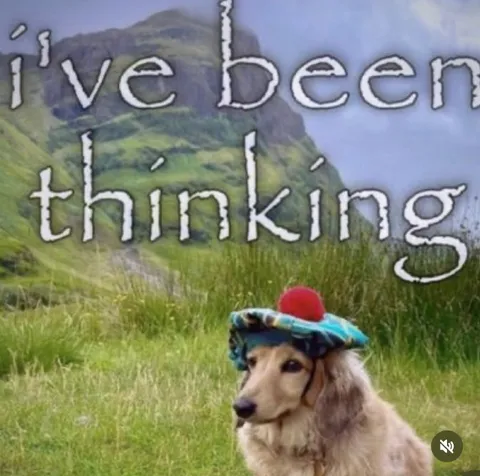 I've Been Thinking Dog