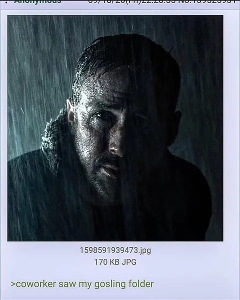 Coworker Saw My Gosling Folder