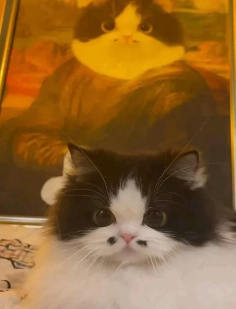 Кот смотрит на свой портрет
