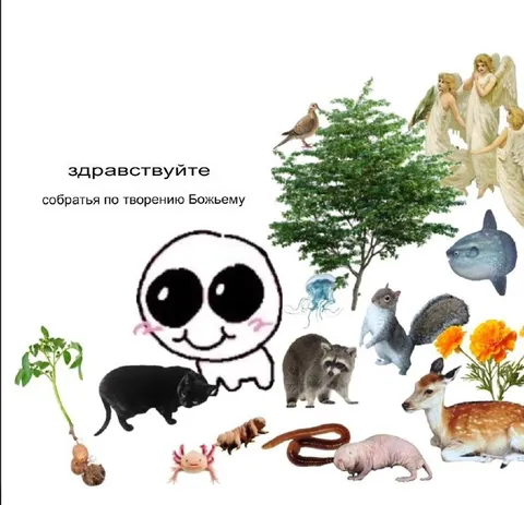 Собратья по творению Божьему
