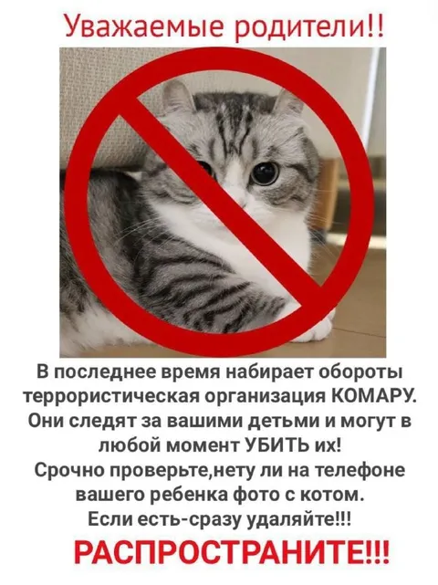 Террористическая организация КОМАРУ