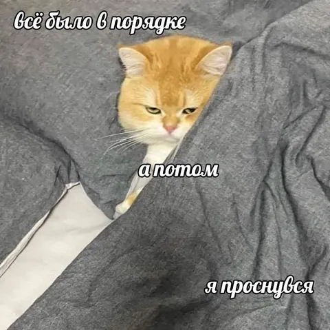Всё было в порядке, а потом
