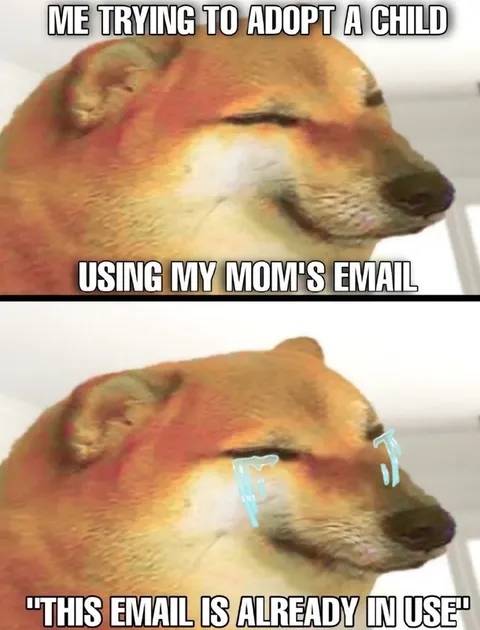 Adoption Email Already in Use