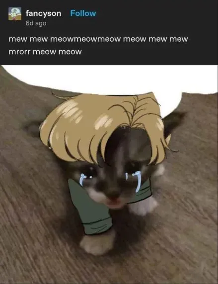 Crying Cat Meows Sadly