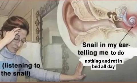 Snail Tells Me to Rot in Bed
