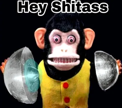 Hey Shitass Monkey